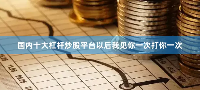 国内十大杠杆炒股平台以后我见你一次打你一次